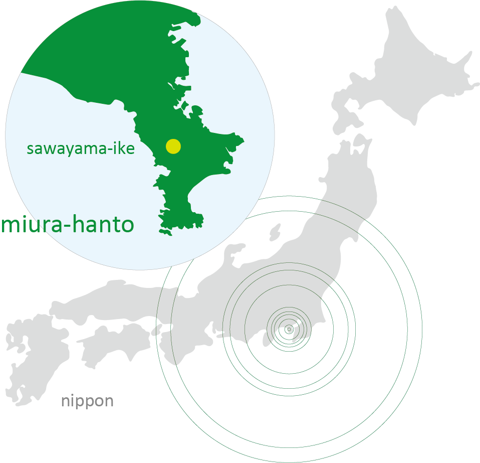 日本地図の中の沢山池の位置