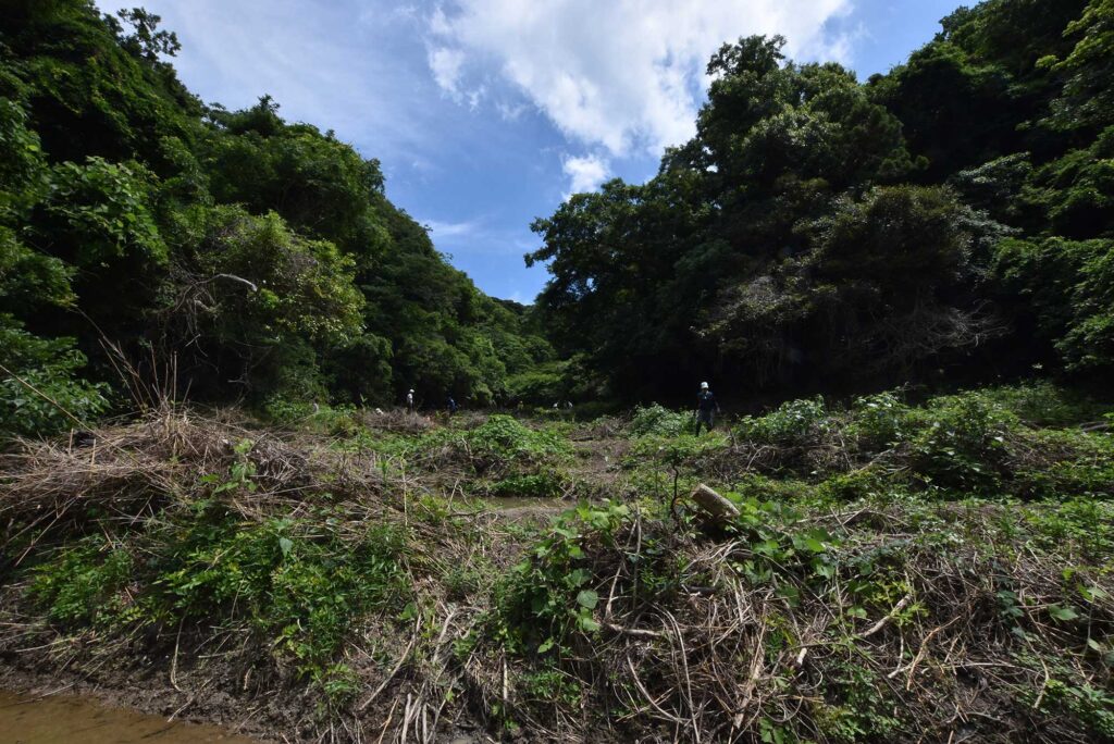 2024年6月16日マムシ谷で田植え