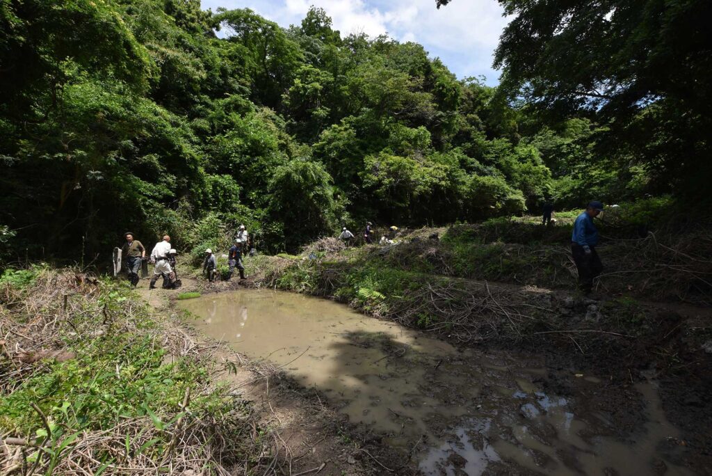 2024年6月16日マムシ谷で田植え