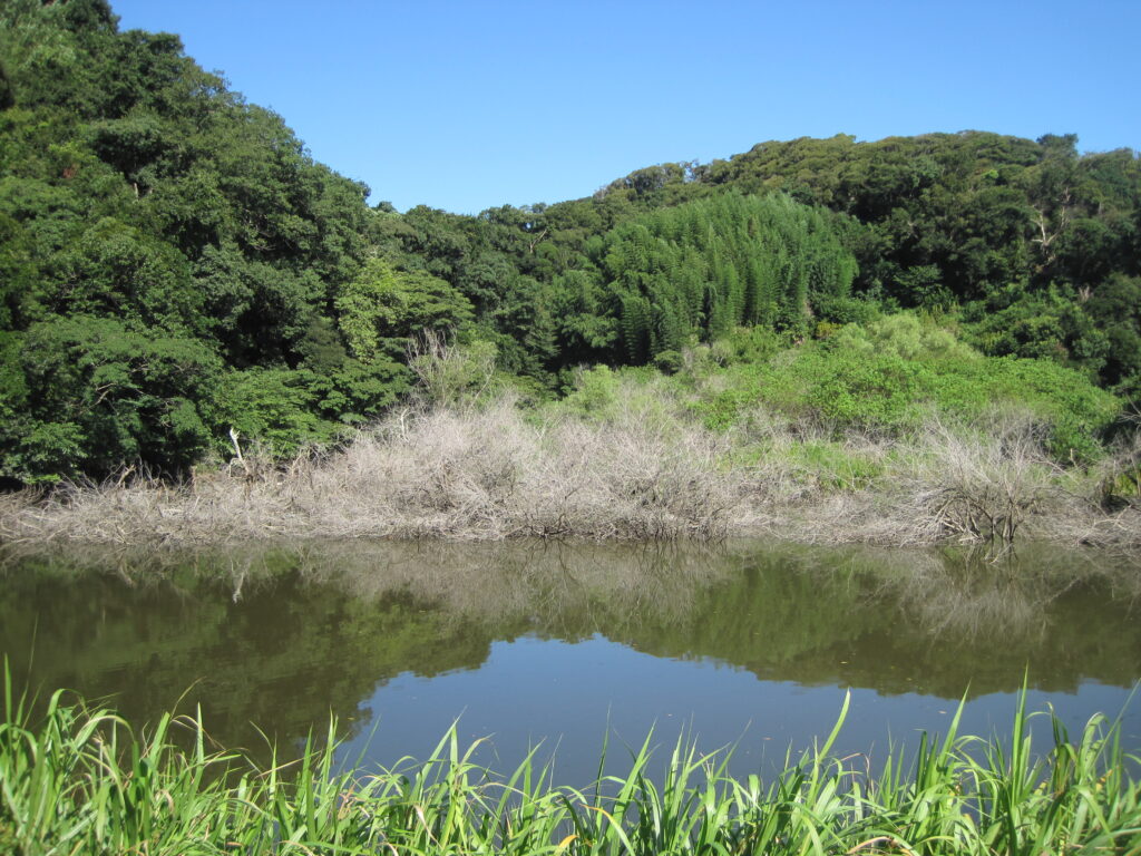 沢山池