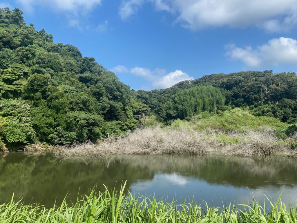 今日の沢山池８/３