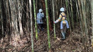 11月1日の活動報告