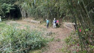 11月8日の活動報告