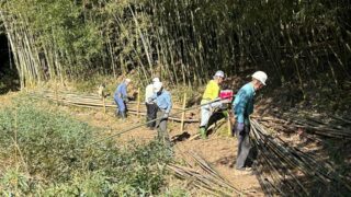 11月22日の活動報告