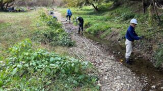 11月29日の活動報告