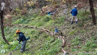 12月6日の活動報告