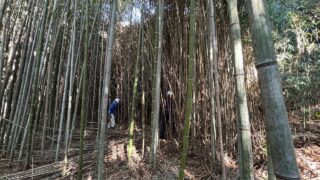 1月10日の活動報告