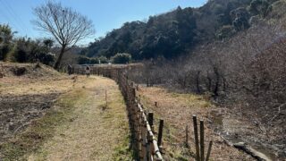 21日の活動報告