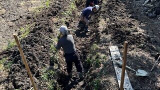 3月7日の活動報告