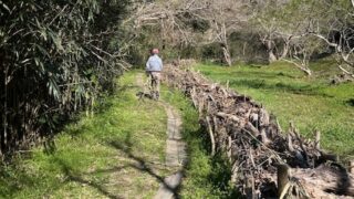 3月14日の活動報告