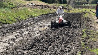 3月28日の活動報告