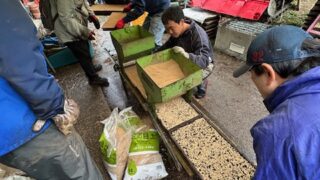 4月4日の活動報告