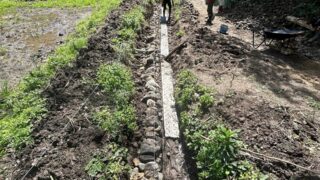 4月11日の活動報告