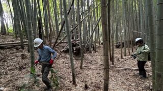 4月18日の活動報告