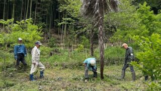4月25日の活動報告