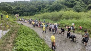 5月31日の活動報告