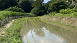 6月13日の活動報告