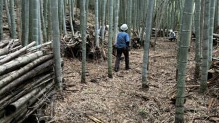 7月4日の活動報告