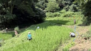 8月1日の活動報告