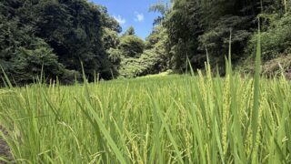 8月8日の活動報告