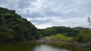 8月29日の活動報告